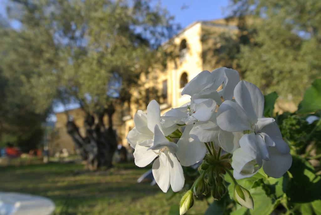 בית הארחה Olesa de Bonesvalls 	Maset Del Garraf מראה חיצוני תמונה