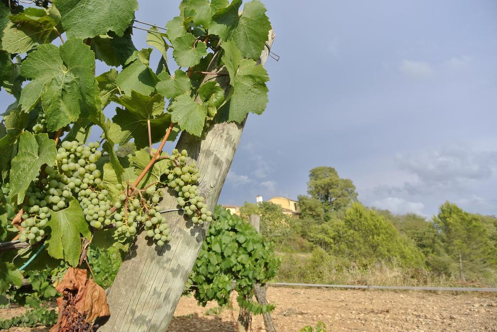 בית הארחה Olesa de Bonesvalls 	Maset Del Garraf מראה חיצוני תמונה